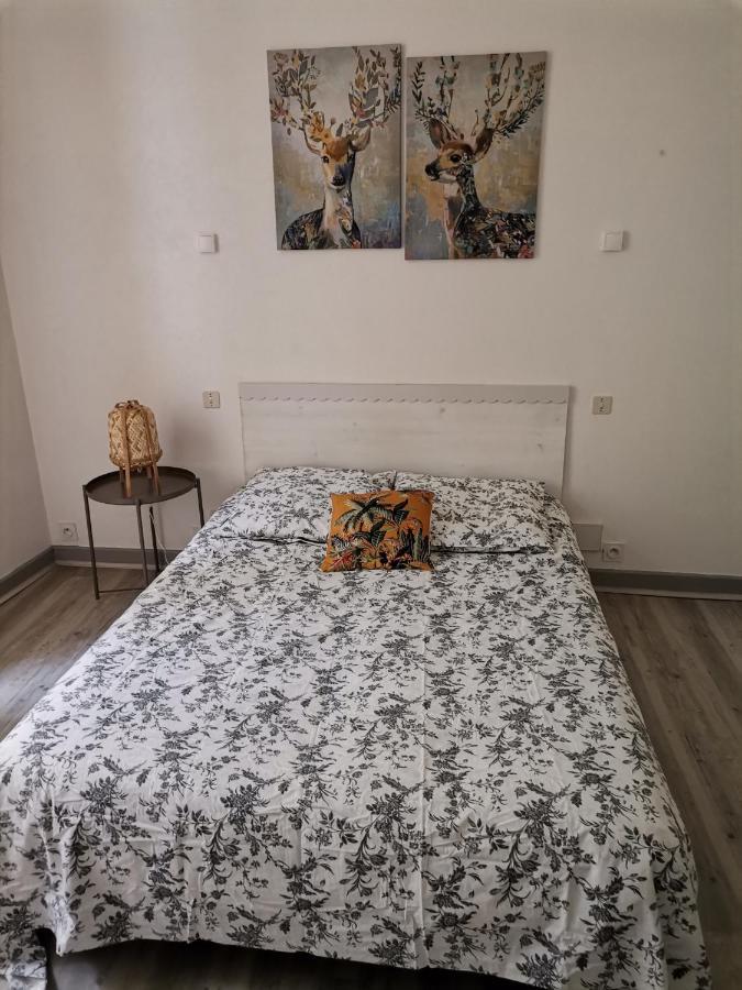 Appartement Catharina 洛特河畔的维伦纽夫 外观 照片
